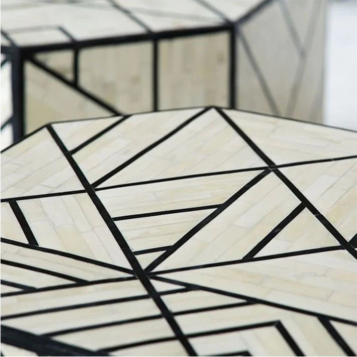 Handmade Bone Inlay coffee table